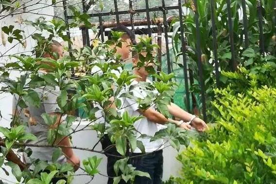 ��???? ��??????