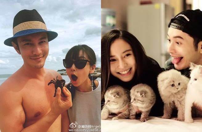 angelababy??? ��???