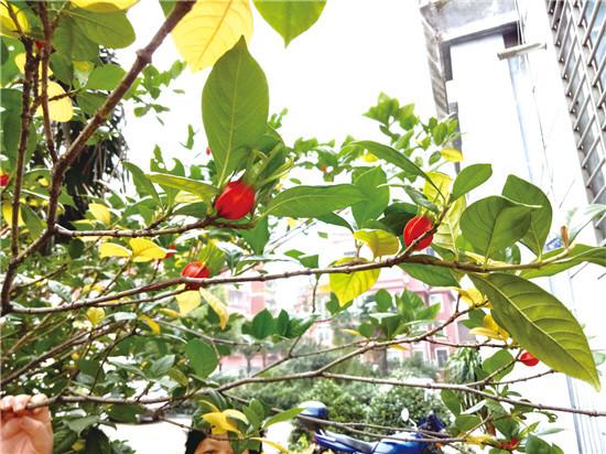 ��? ??��??????